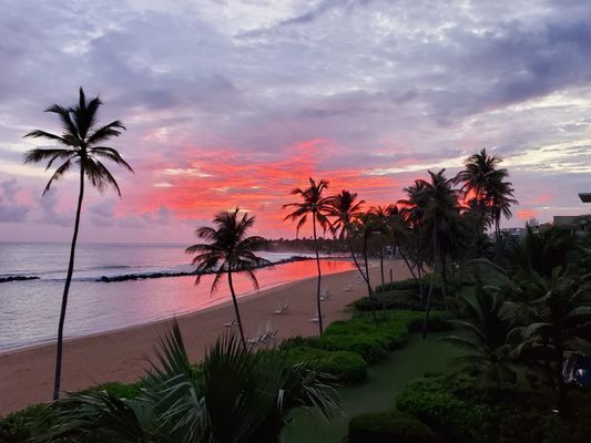 Encanto Beach Club Bar & Grill by null