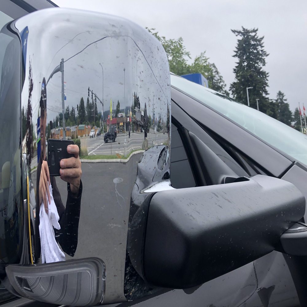 Brown Bear Car Wash - Bugs - Car Wash Near Me - Poulsbo, Washington