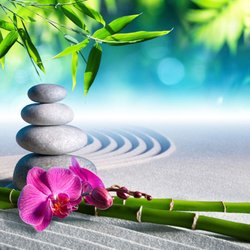 Harmonic Healing Massage Therapy