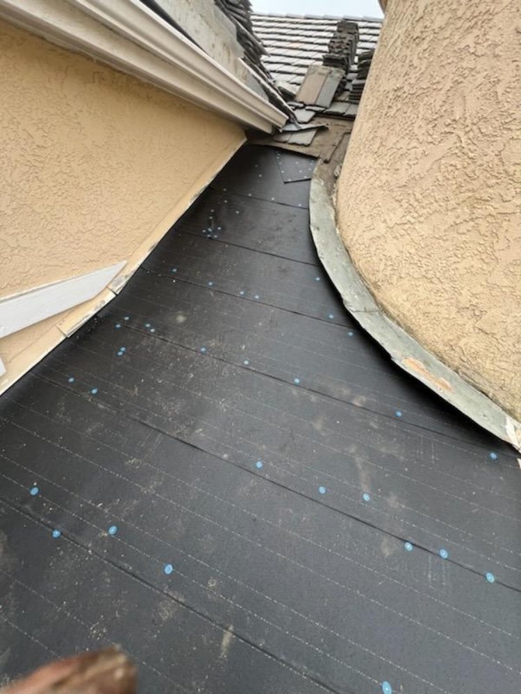 Slide of Immaculate Services