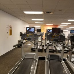 Treadmills on the cardio floor Treadmills on the cardio floor