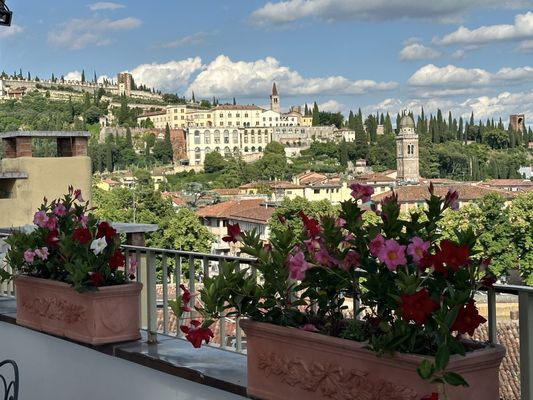 Hotel Due Torri by null