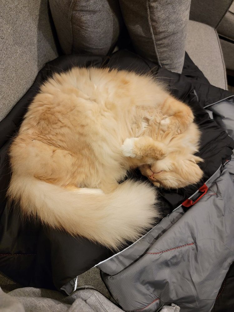 The Good Life For Pets