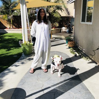 Devotion To Dogs - My 12 year old and my 3 year old babies. - Pet Training Near Me - El Cajon, California