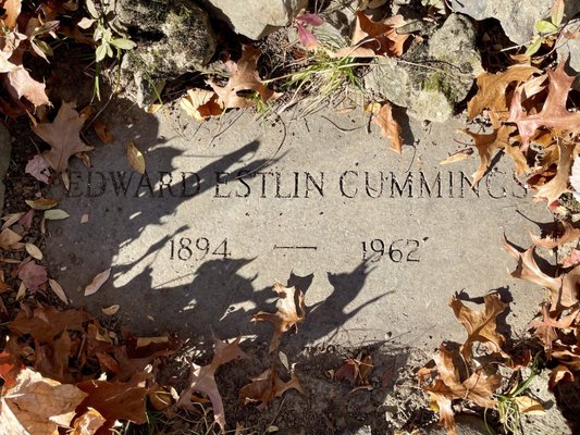 Forest Hills Cemetery by null