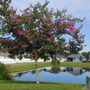 Photo of H2O Pros Irrigation