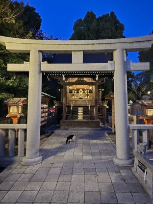 Yasaka Shrine by null