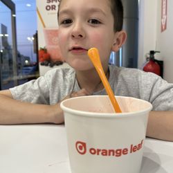 Orange Leaf Frozen Yogurt - Stay away from my froyo!