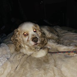 Bailey Bailey