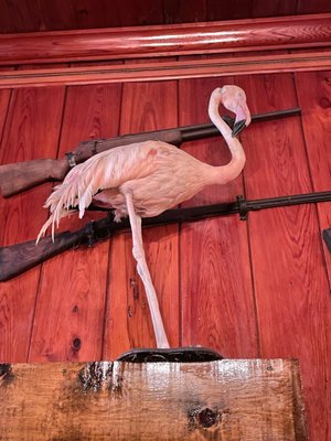 Everglades Rod & Gun Club by null