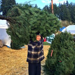 Boy Scout Troop 14 Tree Lot
