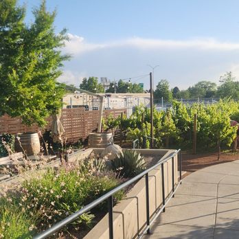 Gruet Winery - Wineries Near Me - Albuquerque, New Mexico