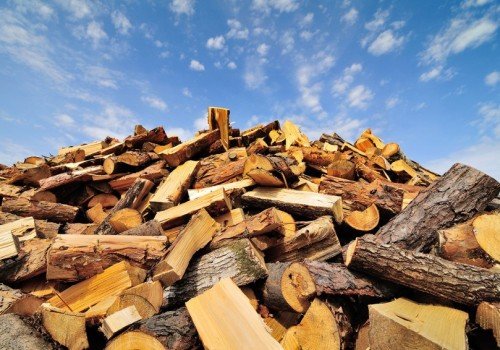 Portland Tree Service - tree service in Portland, OR