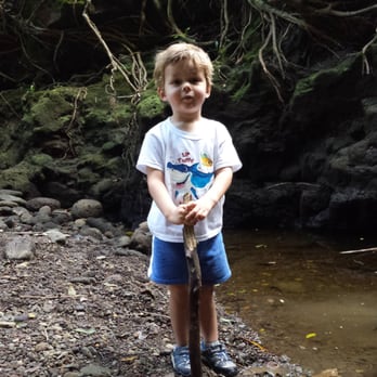 Kalauao Trail - Making the most of it - Hiking Near Me - Aiea, Hawaii