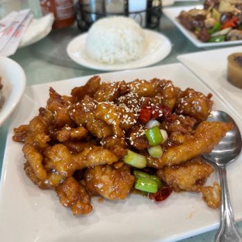 Tasty Spot Cafe - Dim Sum Near Me - Arcadia, California Tasty Spot Cafe - Dim Sum Near Me - Arcadia, California