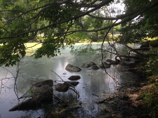 Darlington County Park by null