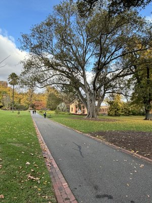 Fitzroy Gardens by null