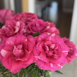 Fortinos - Bouquet Roses