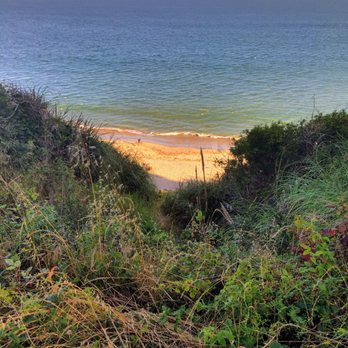New Brighton State Beach - #StarrShot New Brighton Campsite and Beach - Parks Near Me - Capitola, California New Brighton State Beach - #StarrShot New Brighton Campsite and Beach - Parks Near Me - Capitola, California