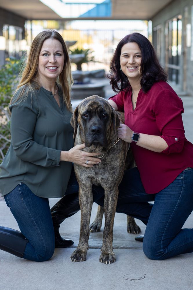 Summit Mental Health & Wellness - grief counselor in Phoenix, AZ