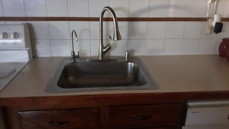 Slide of Plumb Zebra