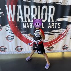 Warrior Martial Arts - Leveling up!