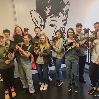 Sit Social - Chicago Griffs Fall Meet Up - Pet Sitting Near Me - Chicago, Illinois