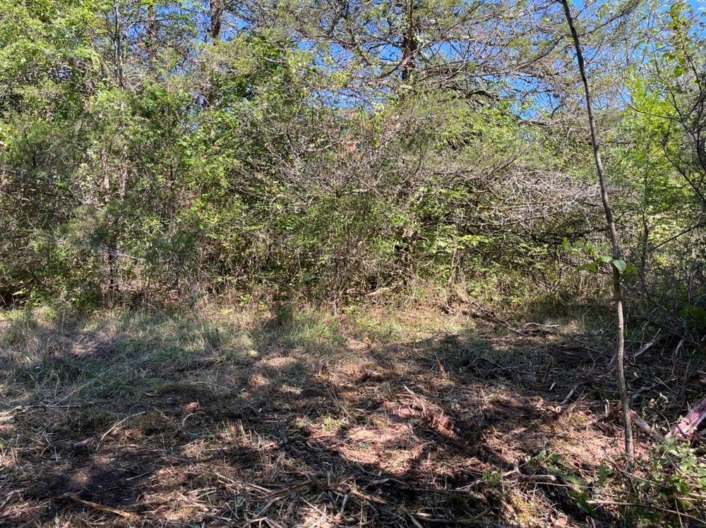 Ozark Land Management - tree service in Galena, MO