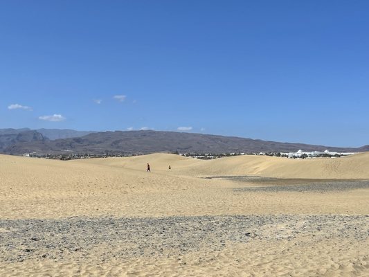 Dunas de Maspalomas by null