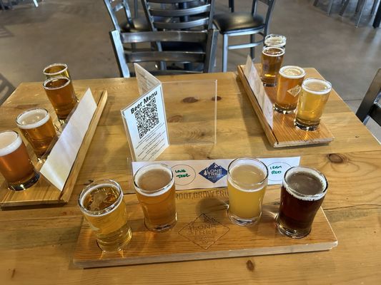 Lone Tree Brewing Company by null