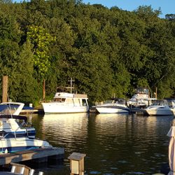 Seaboard Marina - Looking at G dock, Seaboard Marina
