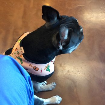 Animal Eye Vet - Oh my babe boy - Veterinarians Near Me - Murrieta, California