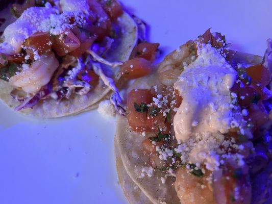 The Rabbit Box by null