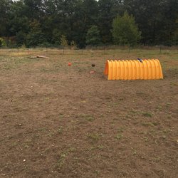 Lake George Dog Park