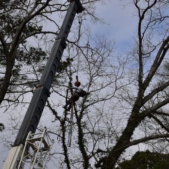 Southern Cutts Tree Service - Tree Services Near Me Southern Cutts Tree Service - Tree Services Near Me