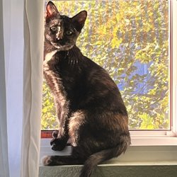Longmont Humane Society