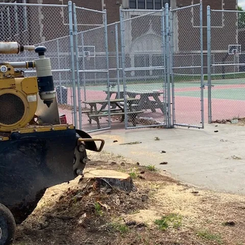 Stump and Grind - a man using a machine to cut a tree - Landscaping Near Me - Terre Haute, Indiana
