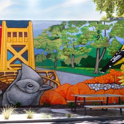 California Mural Art - Exterior Sacramento themed mural