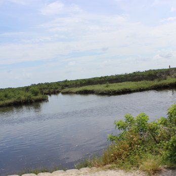 Ormond Scenic Loop & Trail - hanging out the window while John drove- taking pictures! - Hiking Near Me - Ormond Beach, Florida