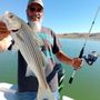 Photo of FishFinders Guide Service - Lake Mead Fishing Guides