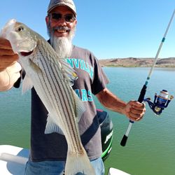 FishFinders Guide Service - Lake Mead Fishing Guides - One of many we caught fishing w/ Capt. Kevin on Lake Mead this beautiful morning