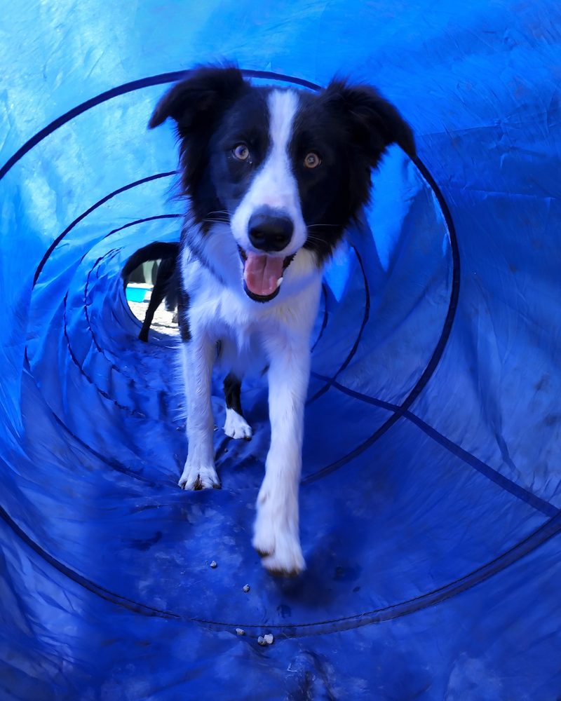 HOWLING PEAKS Updated August 2024 14 Photos 6614 Lake Otis Pkwy