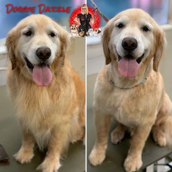 Doggie Dazzle Rolling Paw Spa - Pet Groomers Near Me Doggie Dazzle Rolling Paw Spa - Pet Groomers Near Me