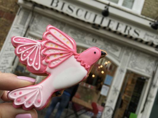 Biscuiteers by null