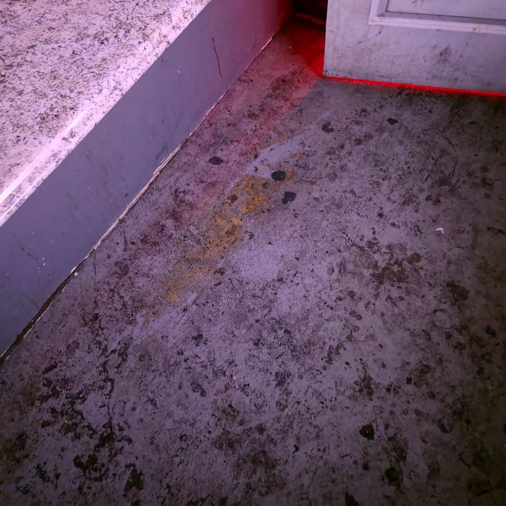 Entertainment Center - Look at the filthy floor in this room - Adult Shops Near Me - Tampa Bay, Florida