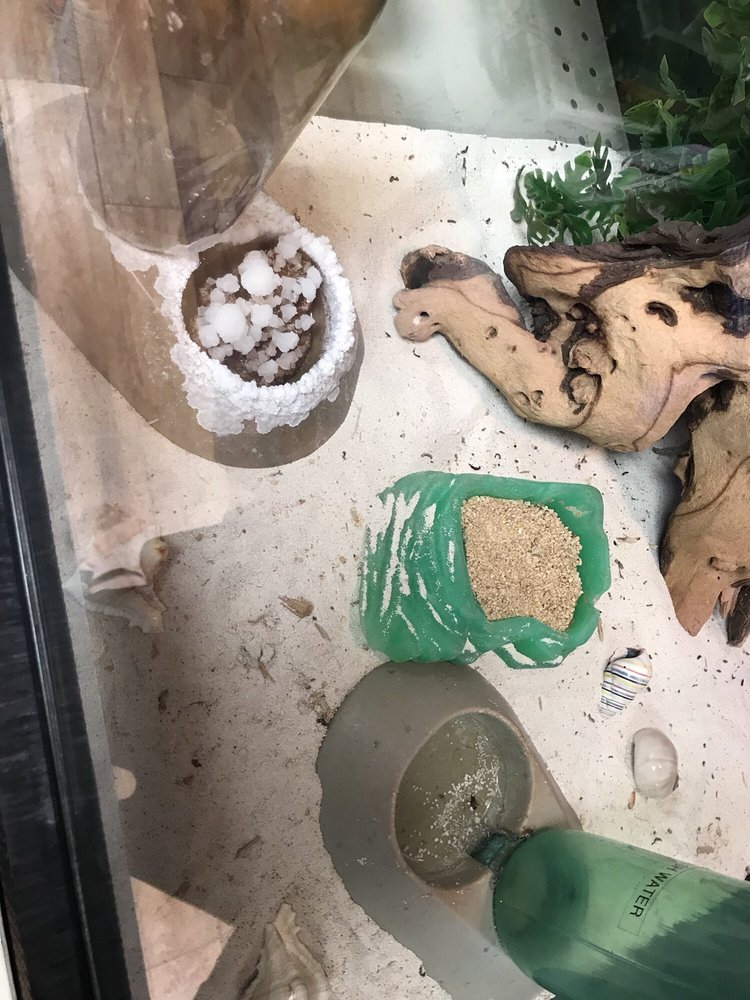 Pet Supermarket Image