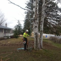 Hudson Tree Services - Setting up with ropes for tree services.