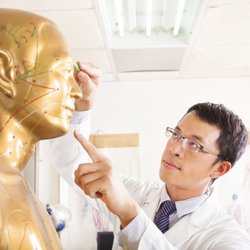 Integrative Acupuncture Center