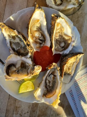 Cholla Bay Oyster House by null