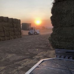 Homestead Hay